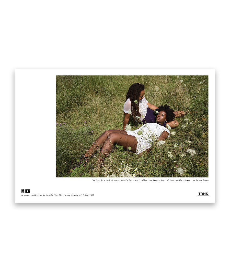 'we lay in a bed of queen anne's lace...' Poster Print by Naima Green